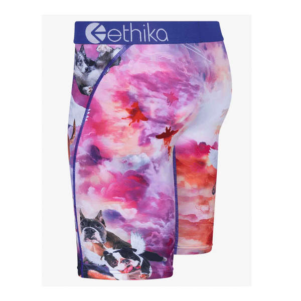 Ethika Womens Ethika Graphic Shorts - Womens Purple/Multi Size M
