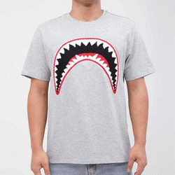 Hudson Shark Mouth Heather Grey Men T-Shirt E1133198-HGR